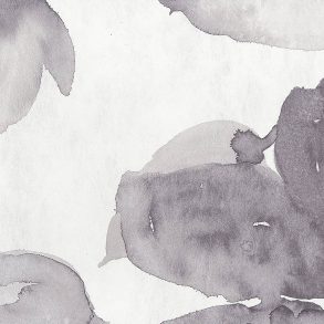 1678326143highres_ltd00496.jpg