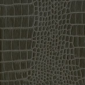 1678326659highres_10748.jpg