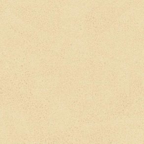 1678330355highres_p9809.jpg