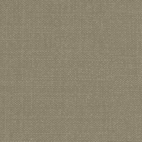 1678332647highres_06a47.jpg