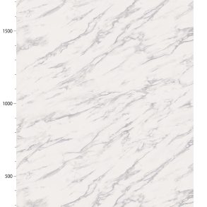 TN5319_B01