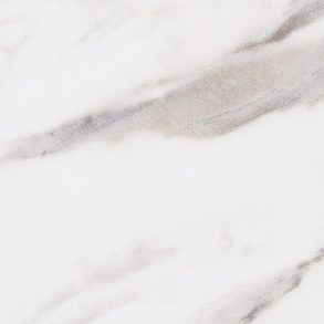 TN5319_C01.jpg