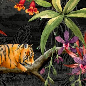 13429_Panthera_Muraspec Web