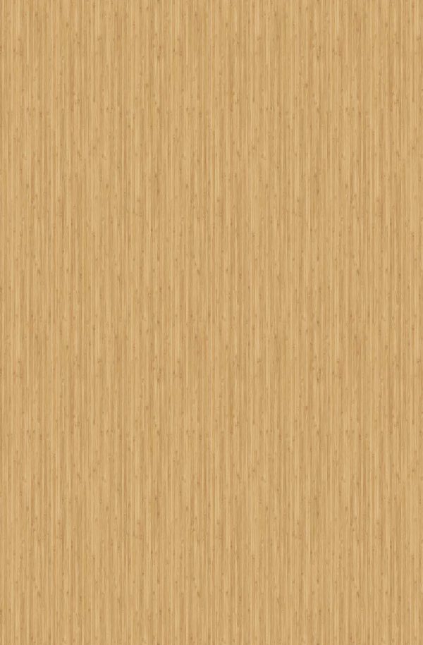TC5056_R01