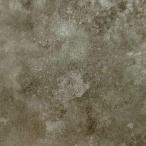 13452_Burnish_Scan_Web