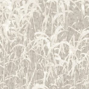LTD02850_Scan_Web